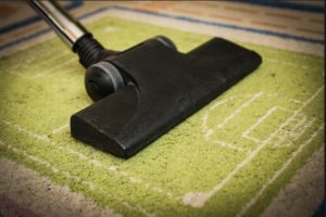 professional carpet cleaning petaluma